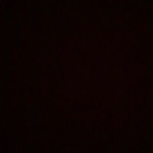 Meet your Posher, Kenai